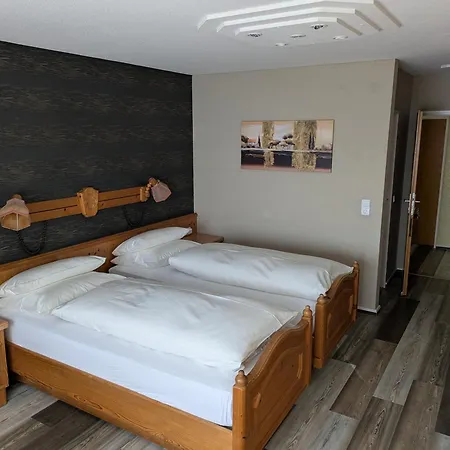 Hotel Odenwaldblick 3*