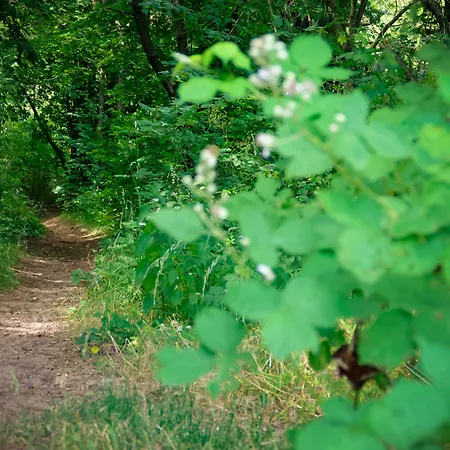 Odenwaldblick Hotel 3*