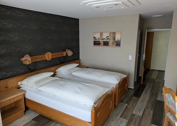 Hotel Odenwaldblick 3*