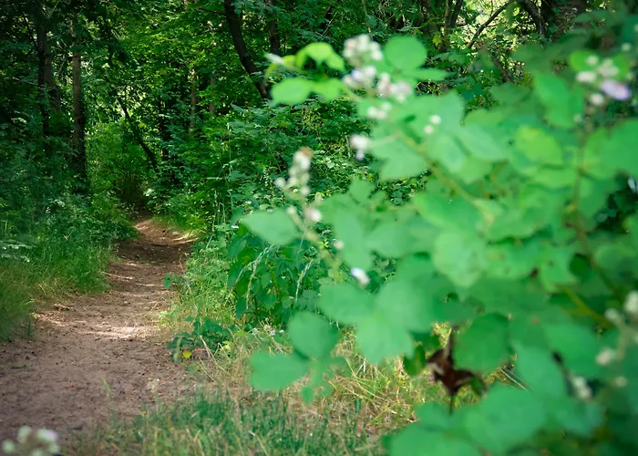 Odenwaldblick Hotel 3*