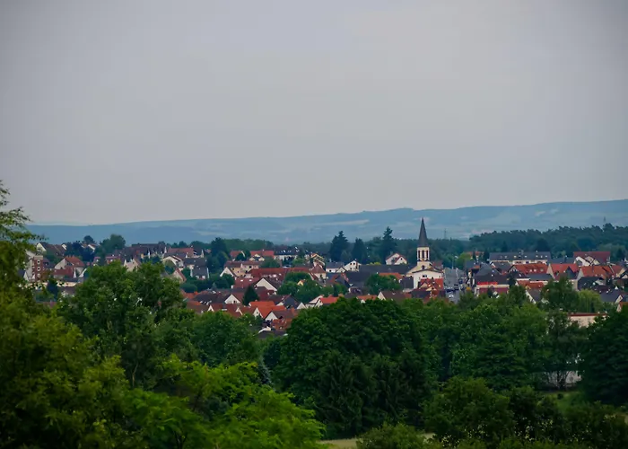 Hotel Odenwaldblick 3*